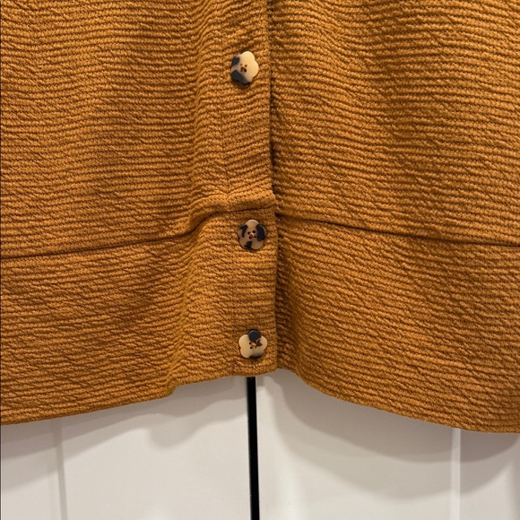 Madewell Mustard Cardigan Sweater - Picture 7 of 12